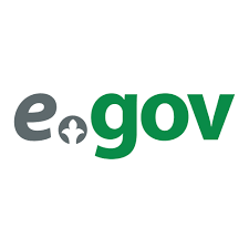 E-government portal