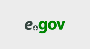 E-government for citizens
