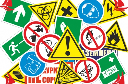 Олар мені орманға апарып, сорғызуға мәжбүр етті.