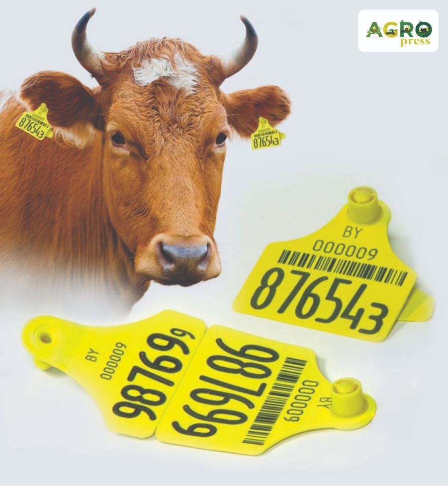 В Казахстане 2019 году выдано почти 10 млн ушных бирок для скота