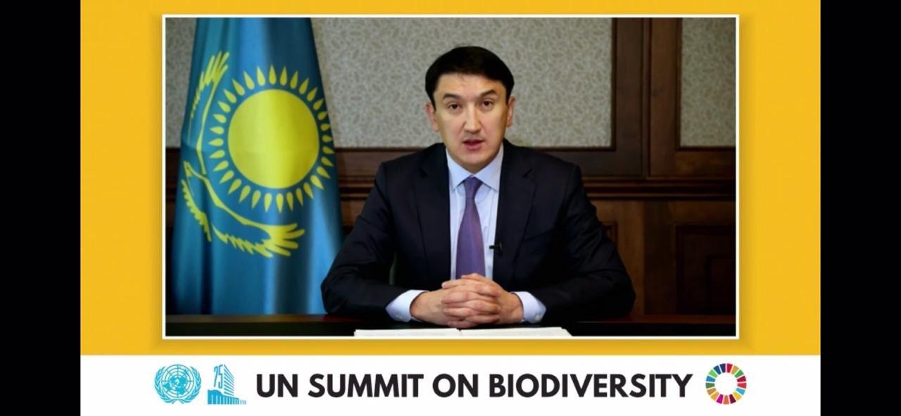 Министр экологии Казахстана выступил с видео-обращением на саммите ООН по биоразнообразию