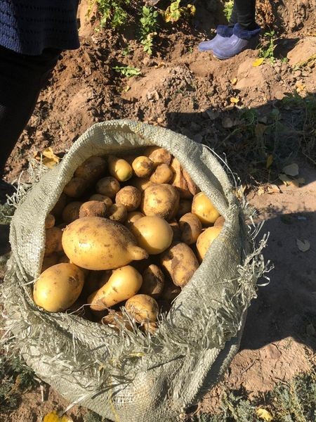 Еңбегінің жемісін татты