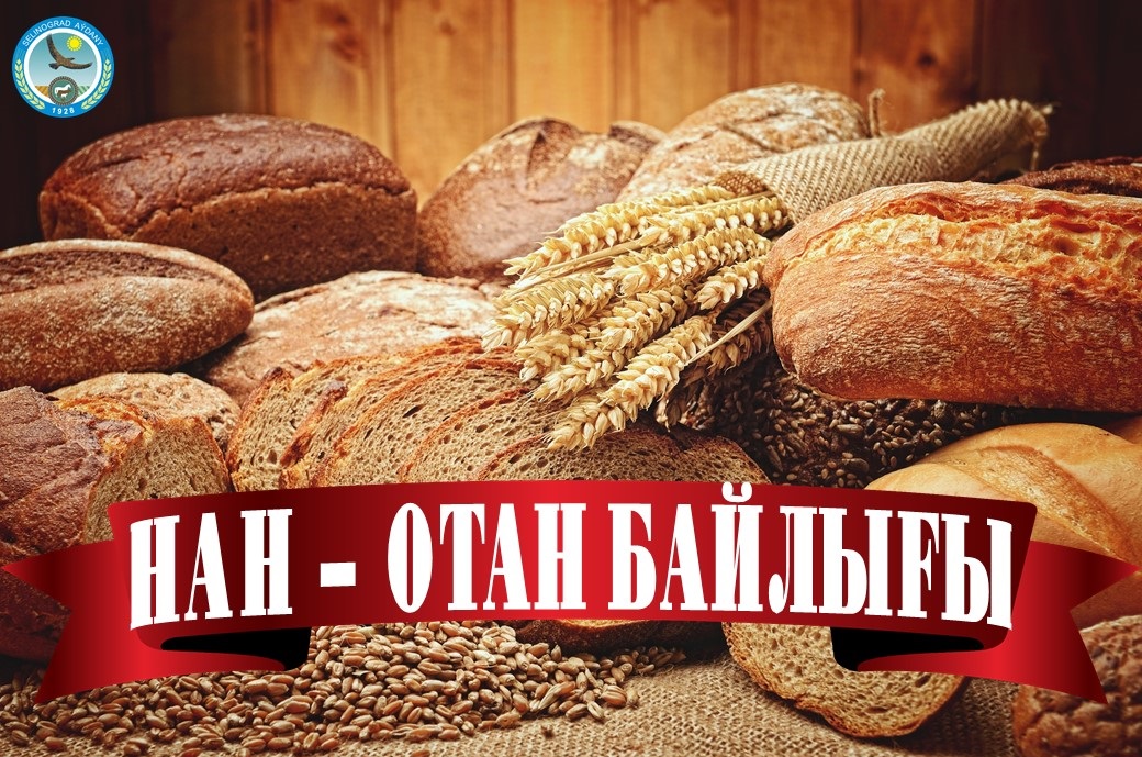 16 ҚАЗАН - ХАЛЫҚАРАЛЫҚ НАН КҮНІ