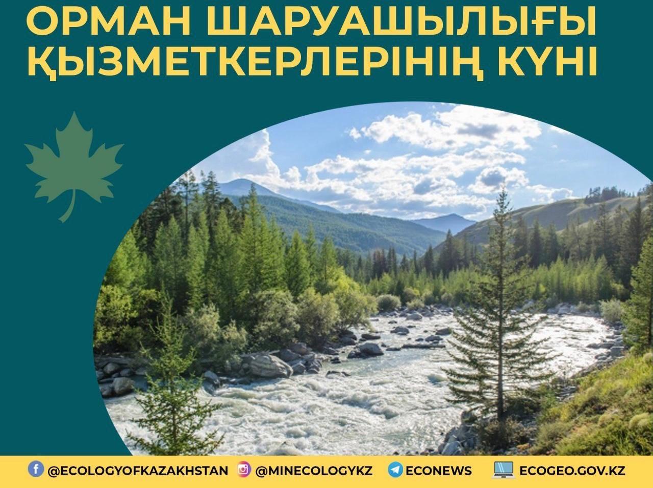 Экология министрі Мағзұм Мырзағалиев орман шаруашылығы мамандарын кәсіби мерекесімен құттықтады