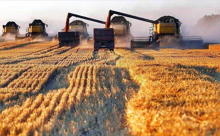 Аяғы жайылған жалаңаш қыздар