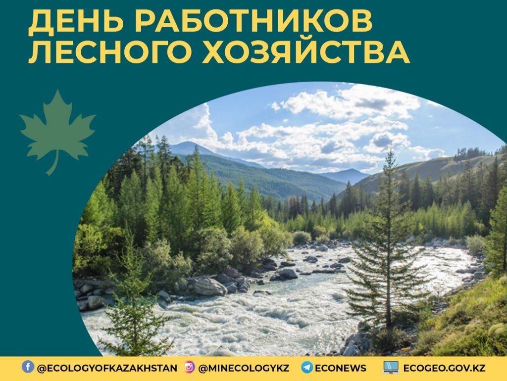Министр экологии, геологии и природных ресурсов Казахстана Магзум Мирзагалиев поздравил работников лесного хозяйства страны с профессиональным праздником