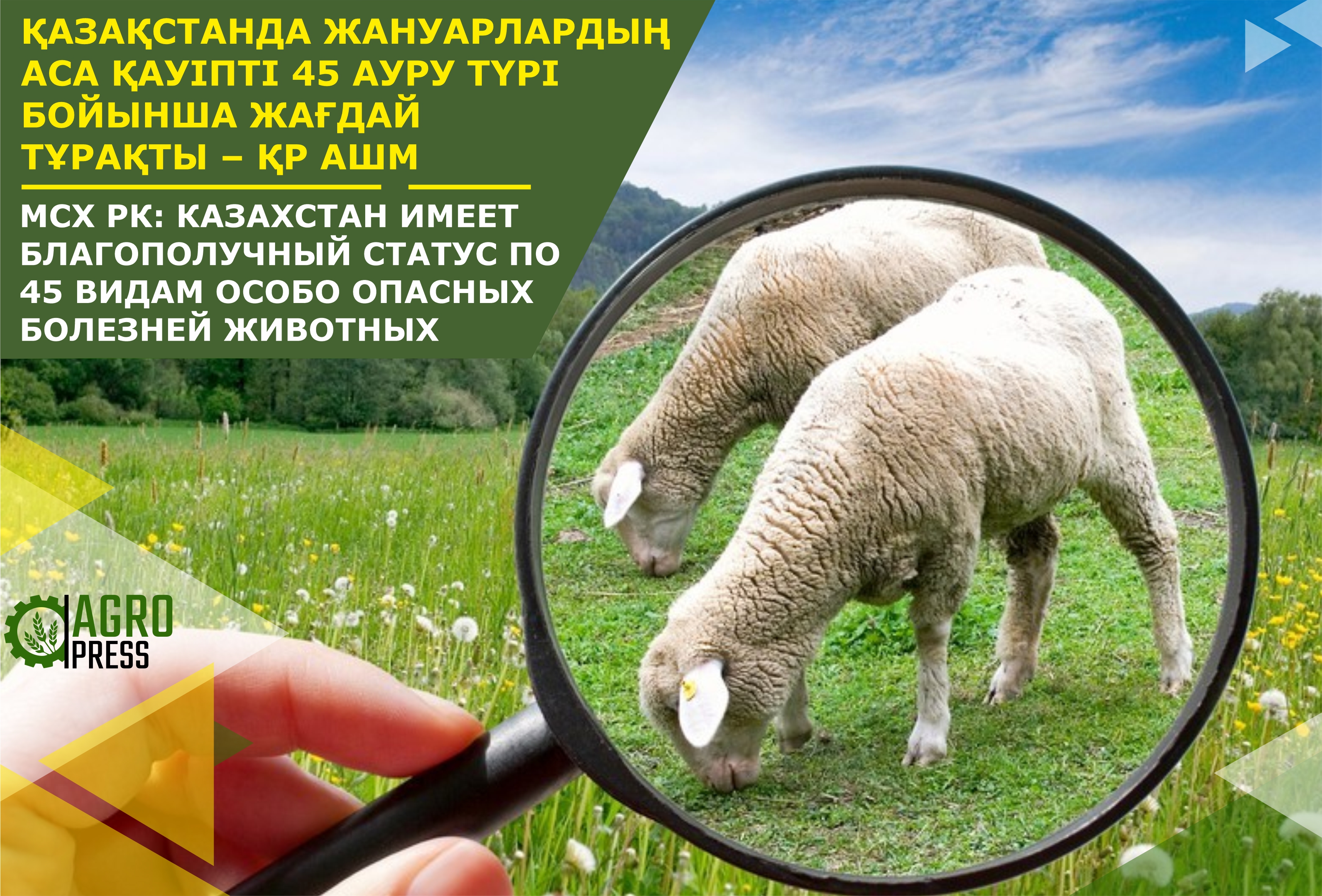 МСХ РК: Казахстан имеет благополучный статус по 45 видам особо опасных болезней животных