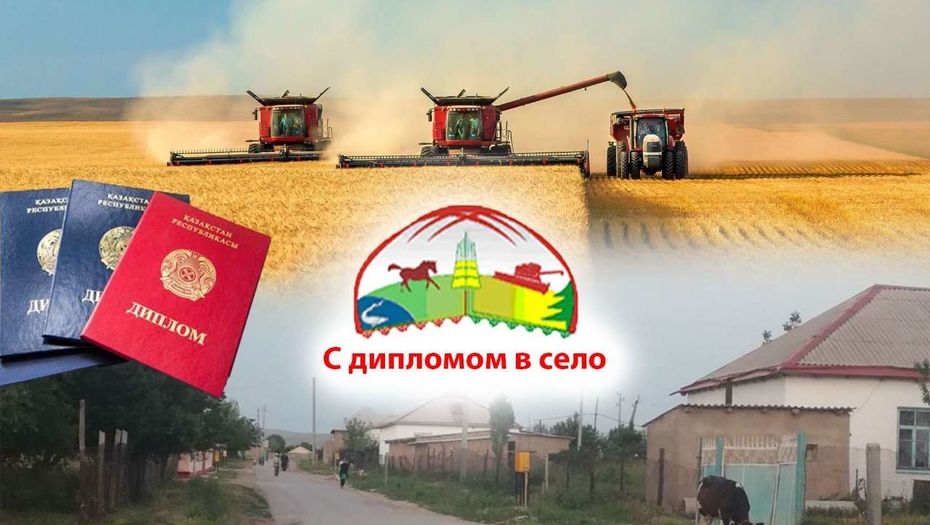С дипломом в село