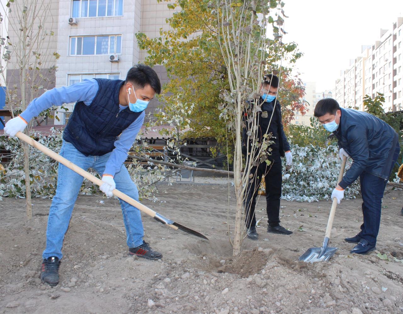 Ауданда #Jasyl Almaty акциясы аясында Жетісу шағынауданында ағаш отырғызылды.
