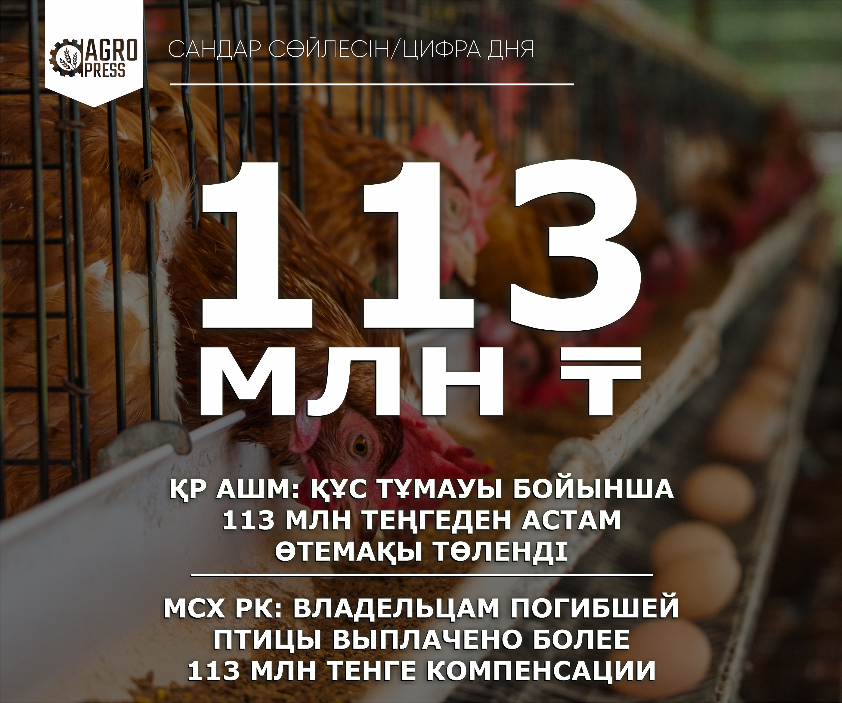 МСХ РК: Владельцам погибшей птицы выплачено более 113 млн тенге компенсации