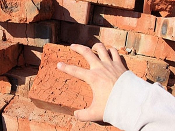 Әйелімен және ұлымен жыныстық қатынас