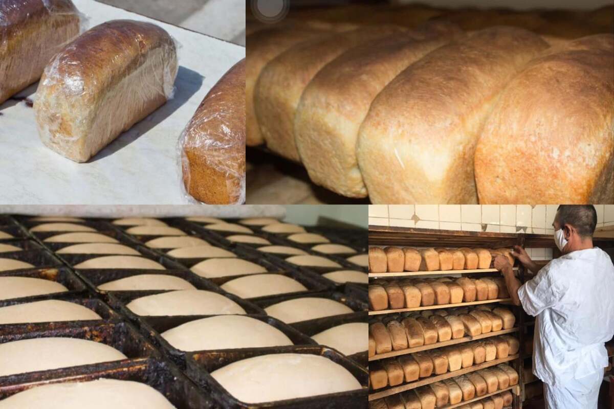 выпекание хлеба. хлебозавод ульяновск. белый пшеничный хлеб. белый хлеб ссср. буханка белого хлеба вес.