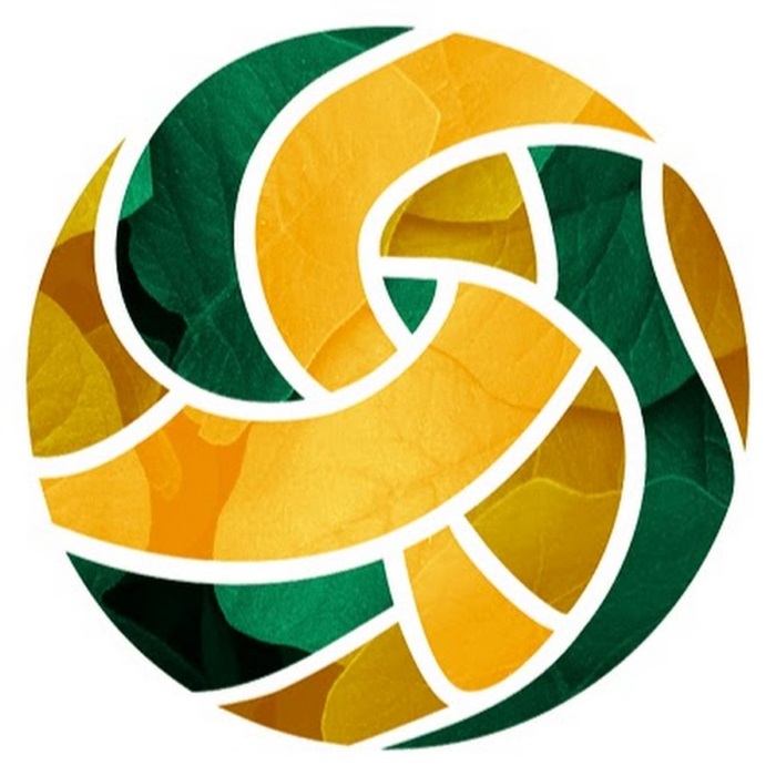 Қазақстанда жұмыс берушінің міндетті зейнетақы жарнасының мөлшері артты