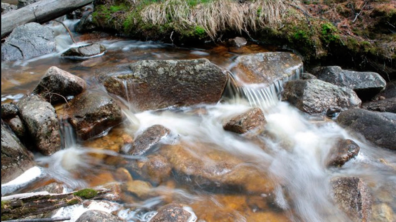 Таңды жалап Үлкен ареолалары бар жетілген әйелдердің порнофотосуреттері