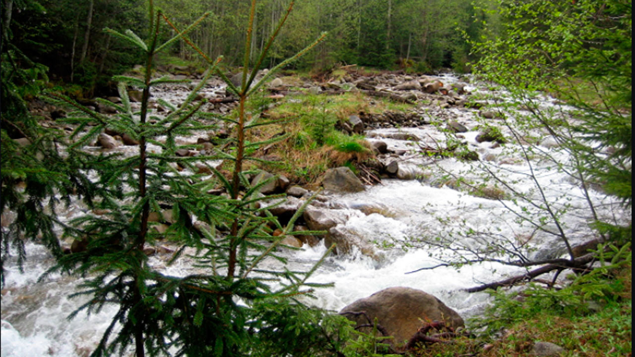 Салли ДАнжело порно