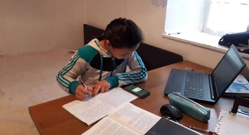Рекомендации для родителей на период онлайн обучения школьников