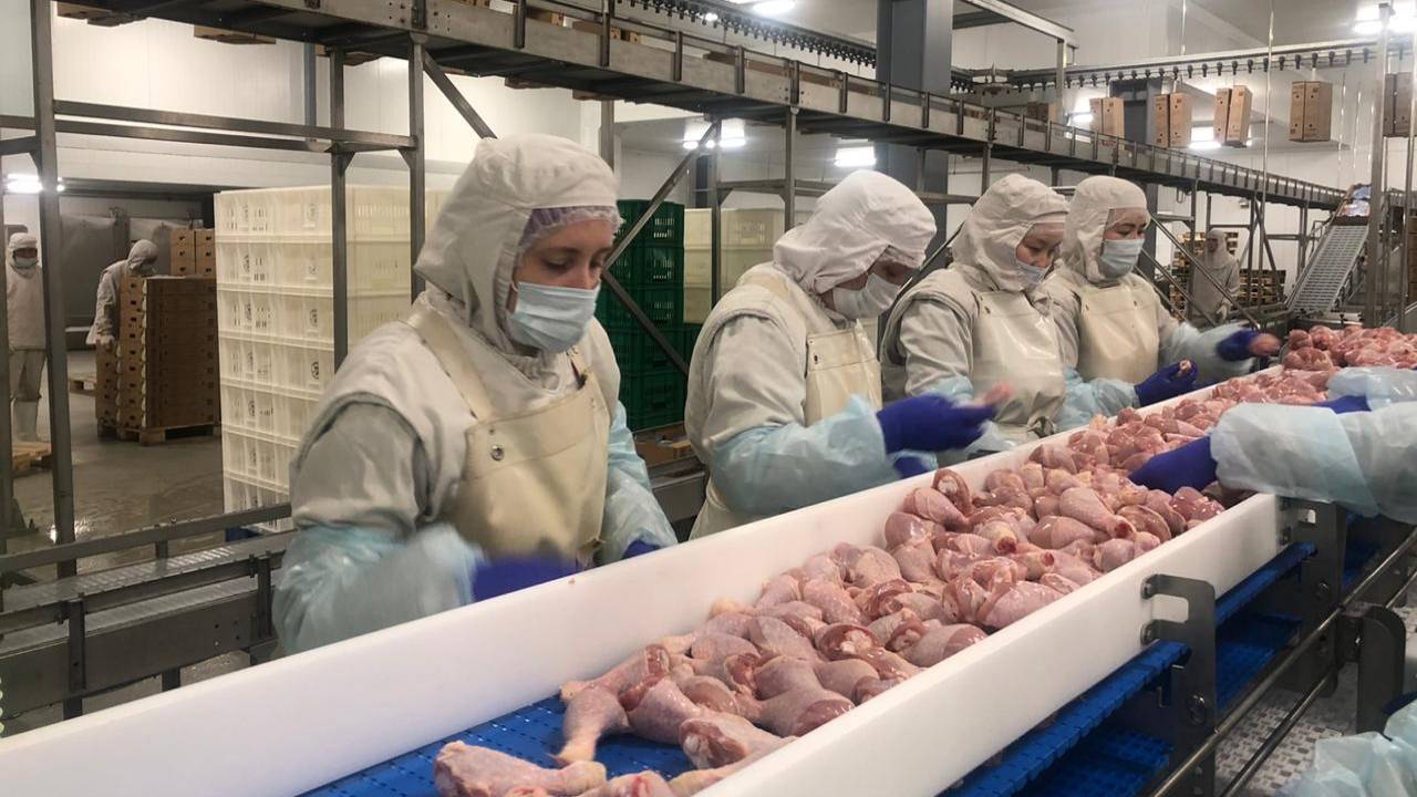 Consumption of poultry meat is growing in Kazakhstan