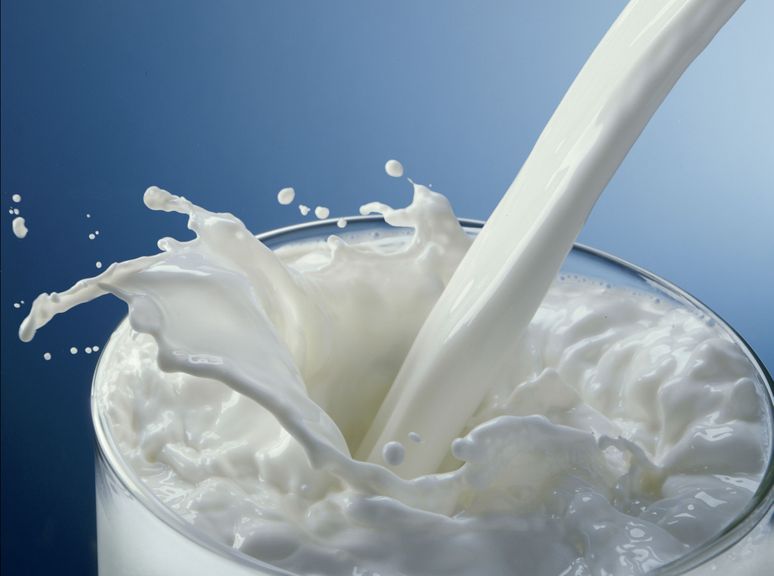 Информация по включению казахстанских молочных предприятий в Реестр