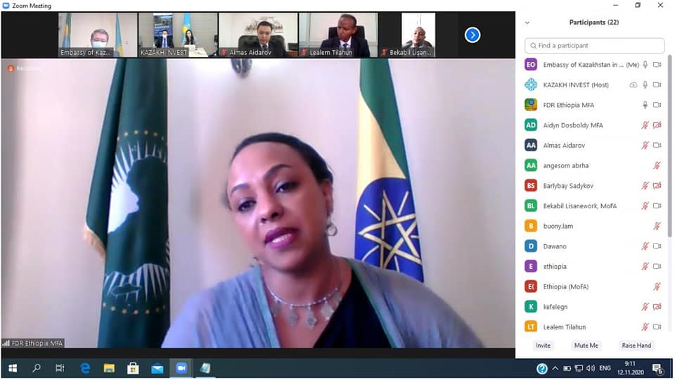 Kazakh-Ethiopian webinar