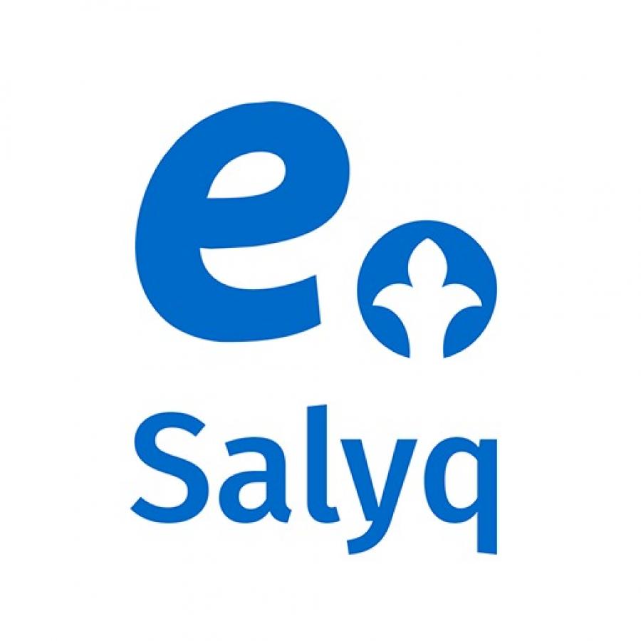 О мобильном приложении "e-Salyk"!
