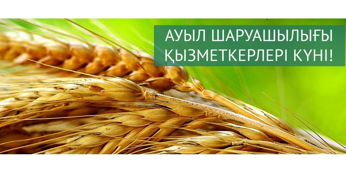 Мен жыныстық қатынасқа түсетін адамды іздеймін.