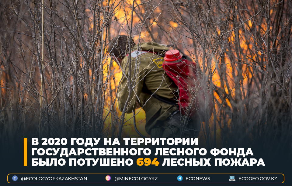 В 2020 году на территории государственного лесного фонда было потушено 694 лесных пожара