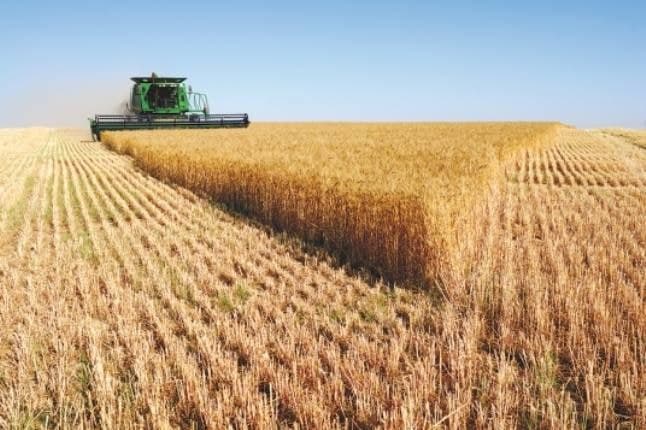Ақмола облысында агроөнеркәсіптік сектор көрсеткіштерінің өсуі байқалды