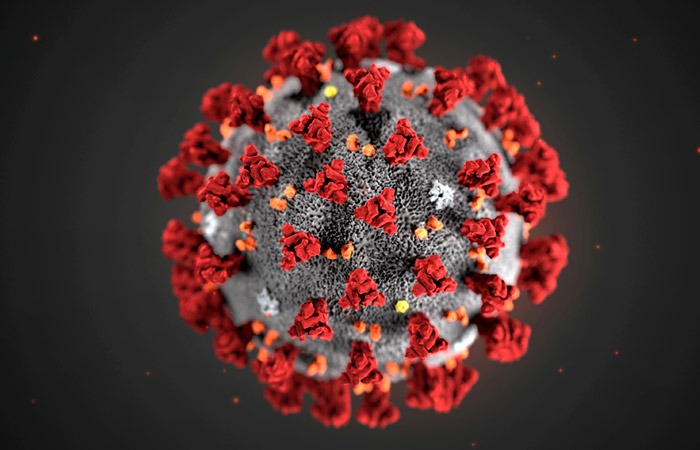 2020 жылғы 19 қарашада тiркелген  коронавирустық инфекция белгiлерi бар пневмония бойынша ақпарат