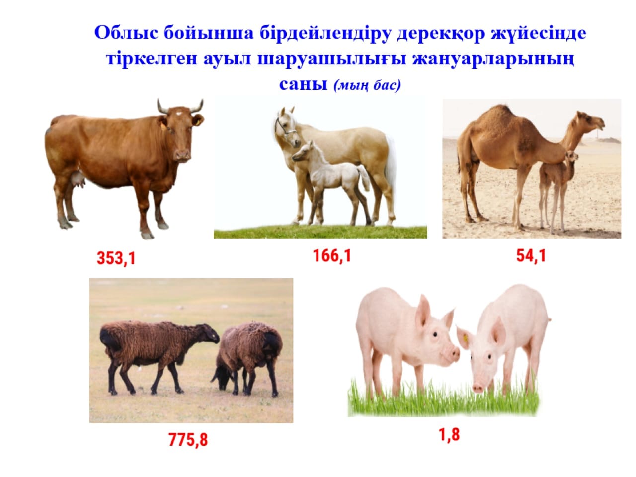 Identification