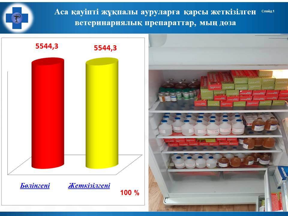 Prevention, prevention of foci of diseases in the region