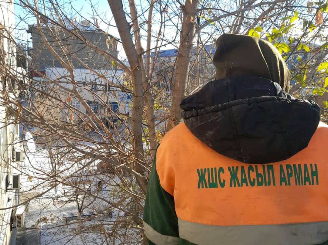 ЖАСЫЛ ЖЕЛЕКТЕРГЕ КҮЗДІК КҮТІМ КӨРСЕТІЛУДЕ