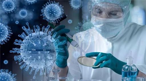 Қостанай облысында коронавирустық инфекция бойынша эпидемиологиялық жағдай туралы ақпарат  	24 карашада