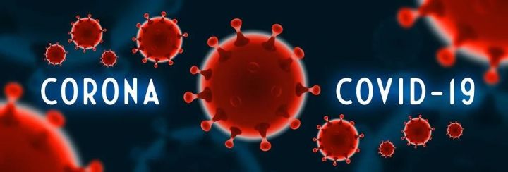 2020 жылғы 30 қарашада тіркелген коронавирустық инфекция белгілері бар пневмония бойынша ақпарат