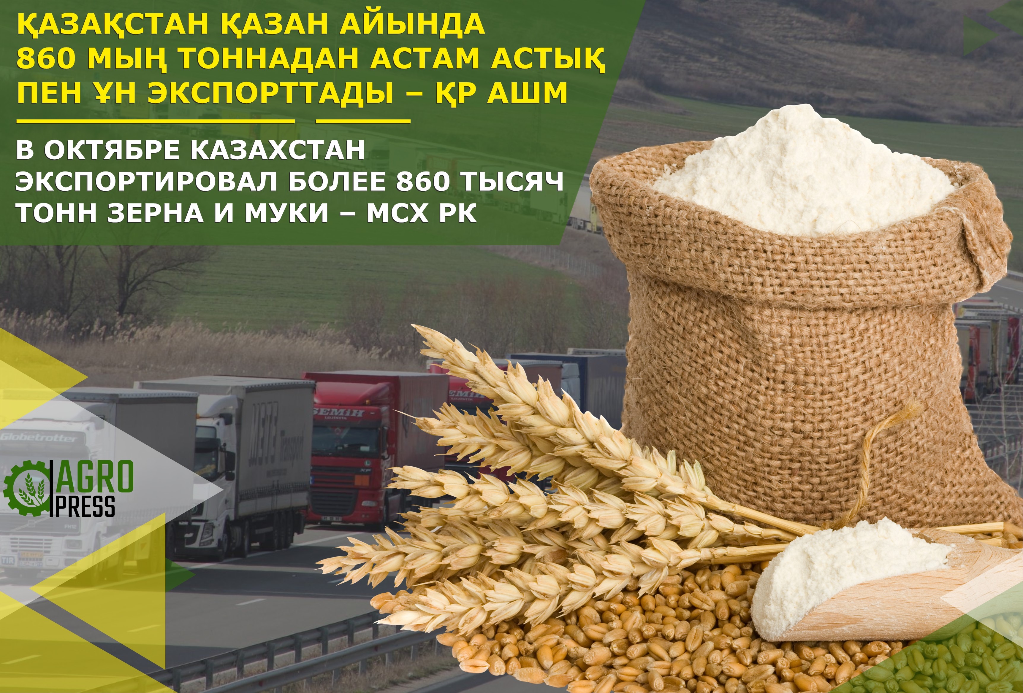 В октябре Казахстан экспортировал более 860 тысяч тонн зерна и муки – МСХ РК