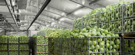 Проект ГЧП по оптово-распределительным центрам