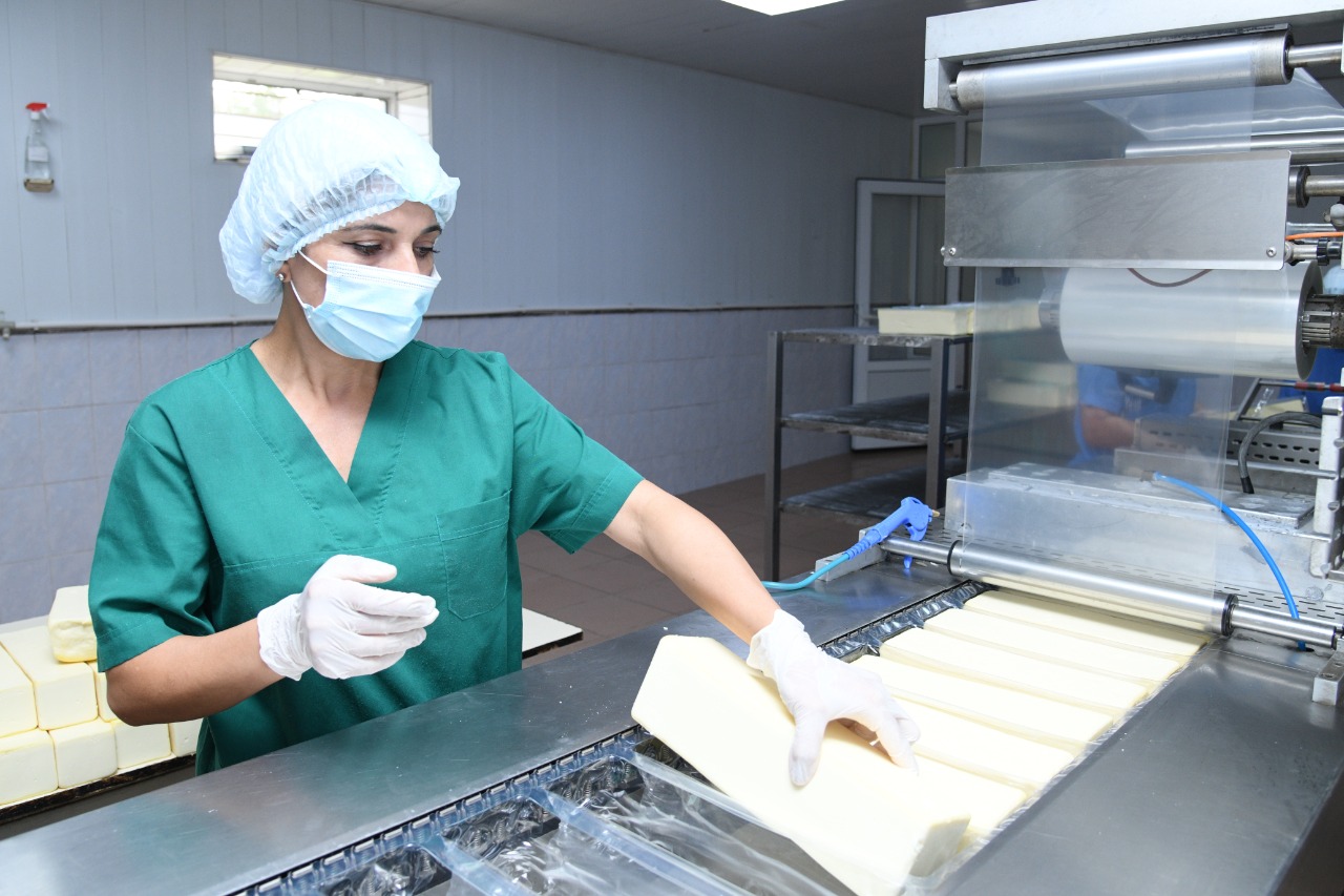 В ГОРОДЕ ШЫМКЕНТ НЕТ ДЕФИЦИТА ПРОДУКТОВ