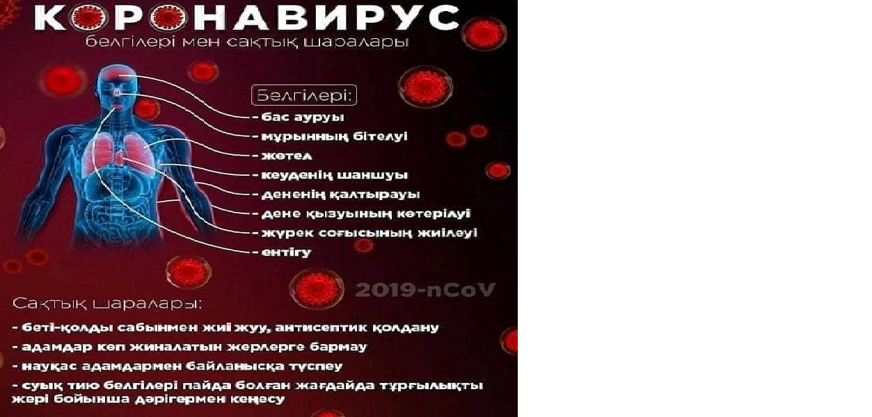 МЕРЫ ПРЕДОСТОРОЖНОСТИ ОТ КОРОНАВИРУСА
