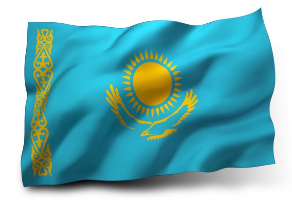 О важности государственного языка
