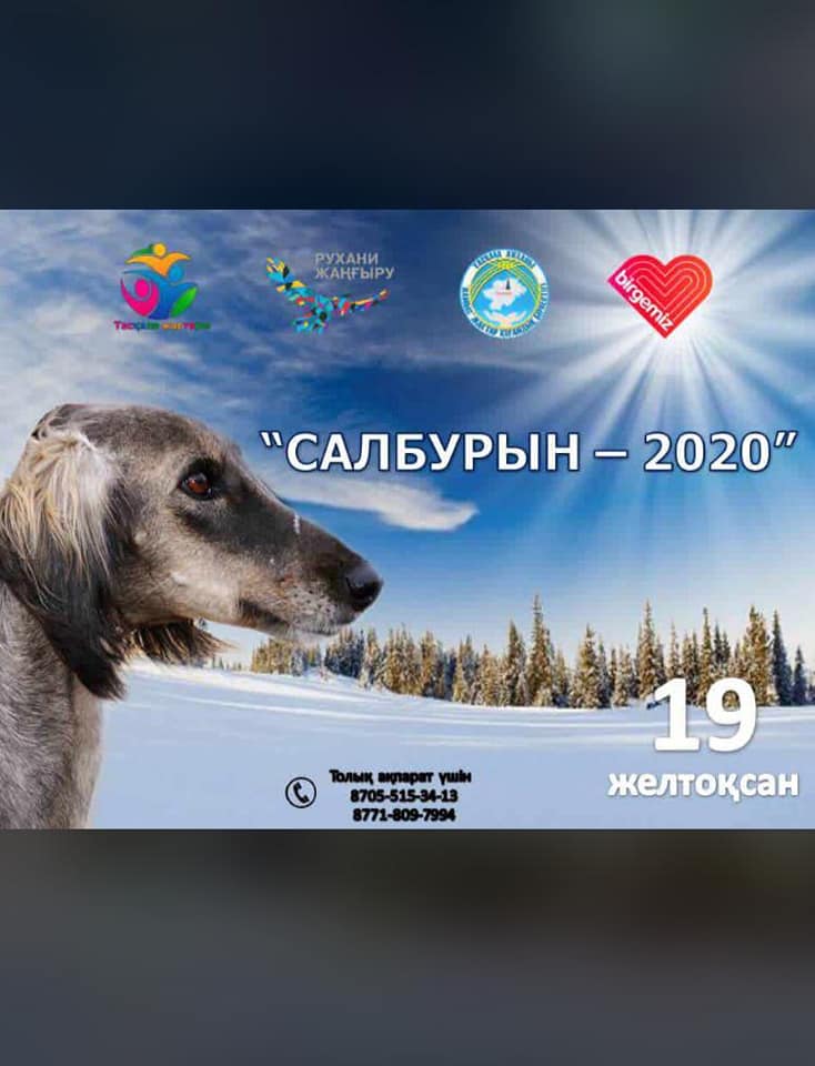 "САЛБУРЫН - 2020"