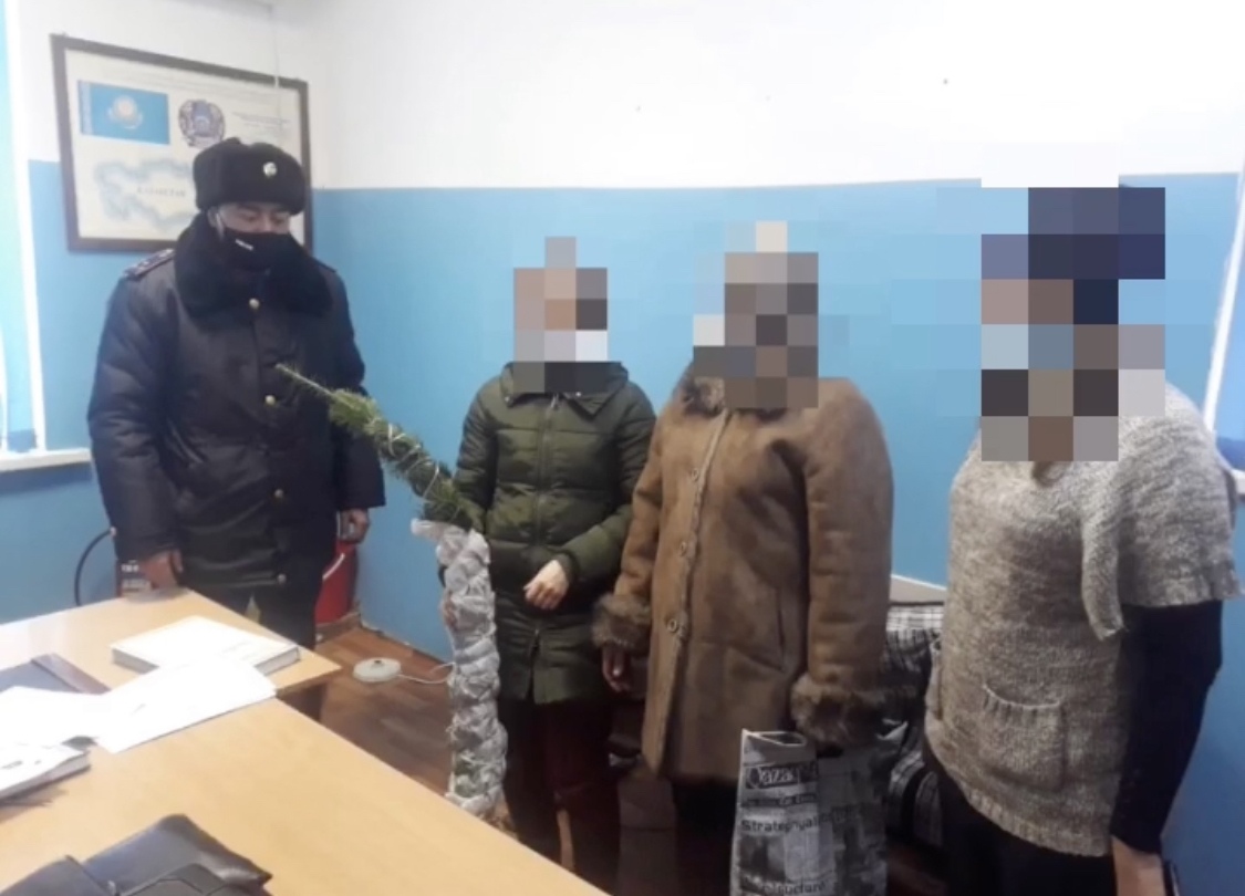 Өскемен-1 ст. ЖПб қызметкерлерімен қылқан ағаш түрін тасымалдаған әйел ұсталды