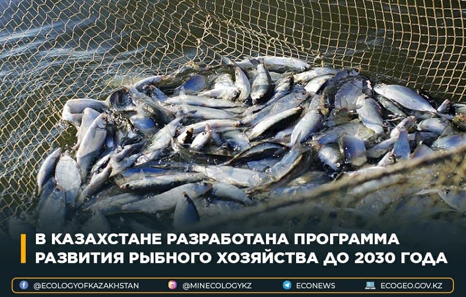В Казахстане разработана Программа развития рыбного хозяйства до 2030 года