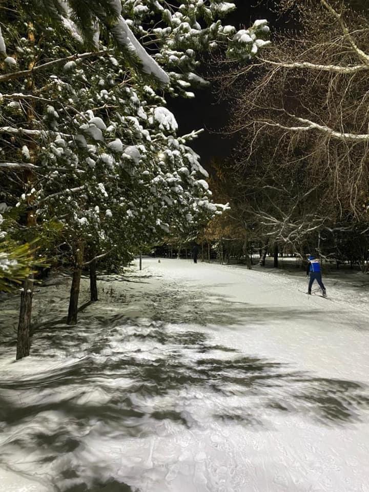 Нұр-Сұлтан спорт федерацияларына қандай жағдай жасалады?