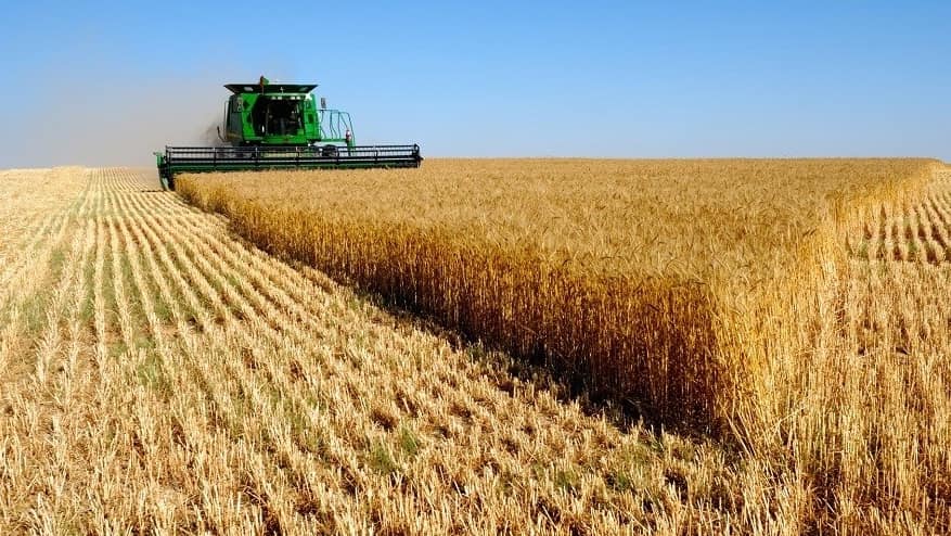 Польшадағы порнофотосуреттер