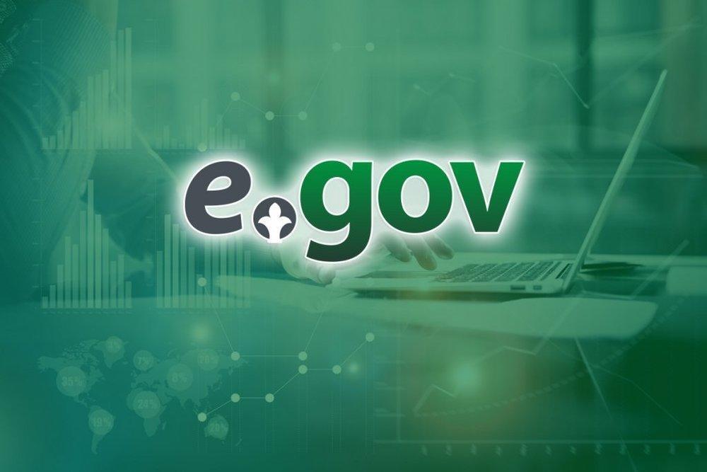 E-government