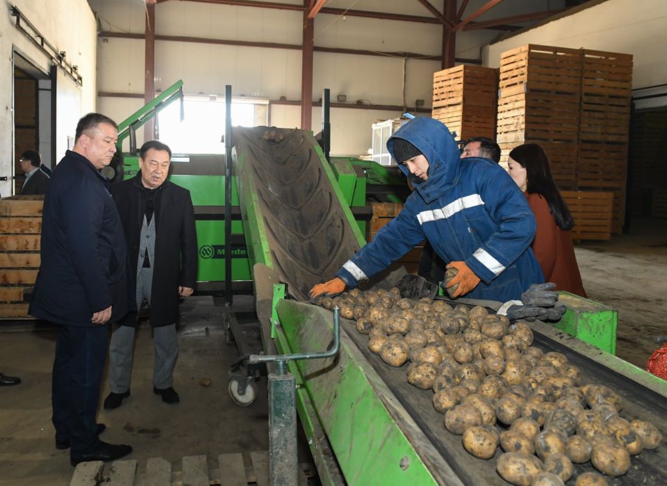 Socially important food prices are under control
