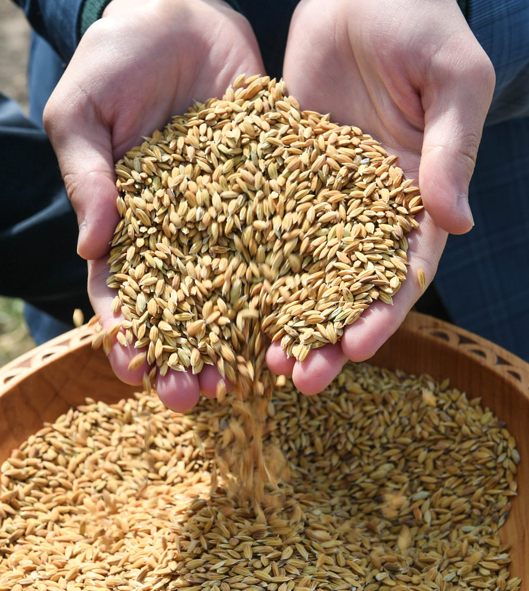Европейские предприниматели проявляют интерес к Кызылординскому рису