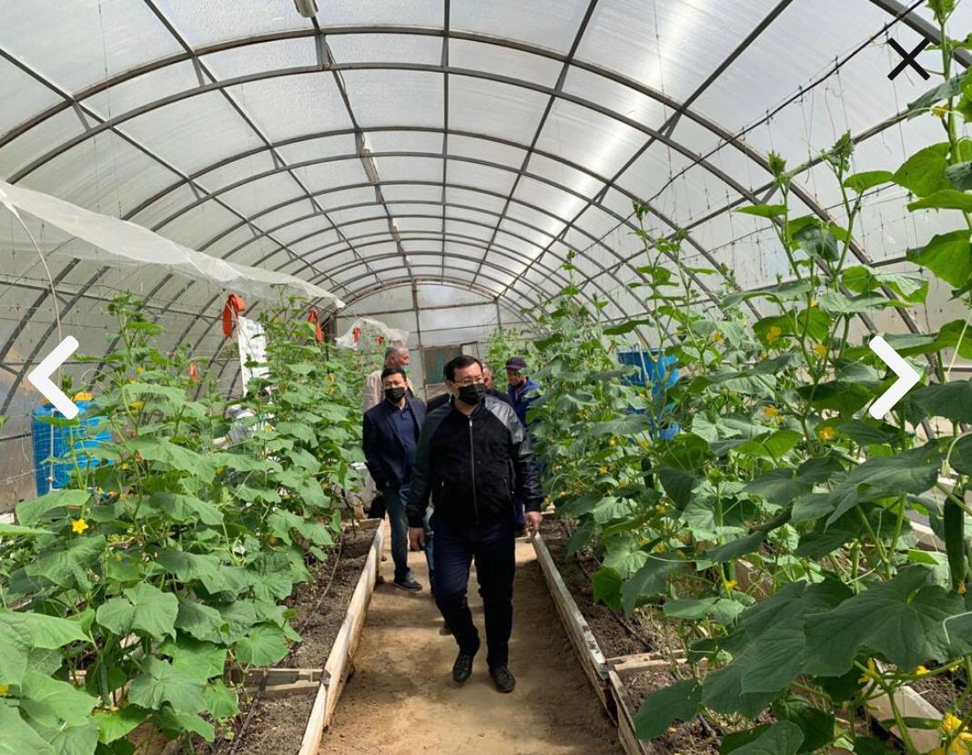 Deputy akim of the region B.Zhakhanov got acquainted with the work of farmers