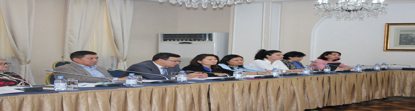 «Уполномоченные должностные лица по взаимодействию с НПО – модель развития диалога с гражданским сектором»
