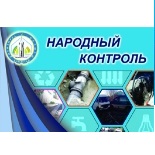Народный контроль
