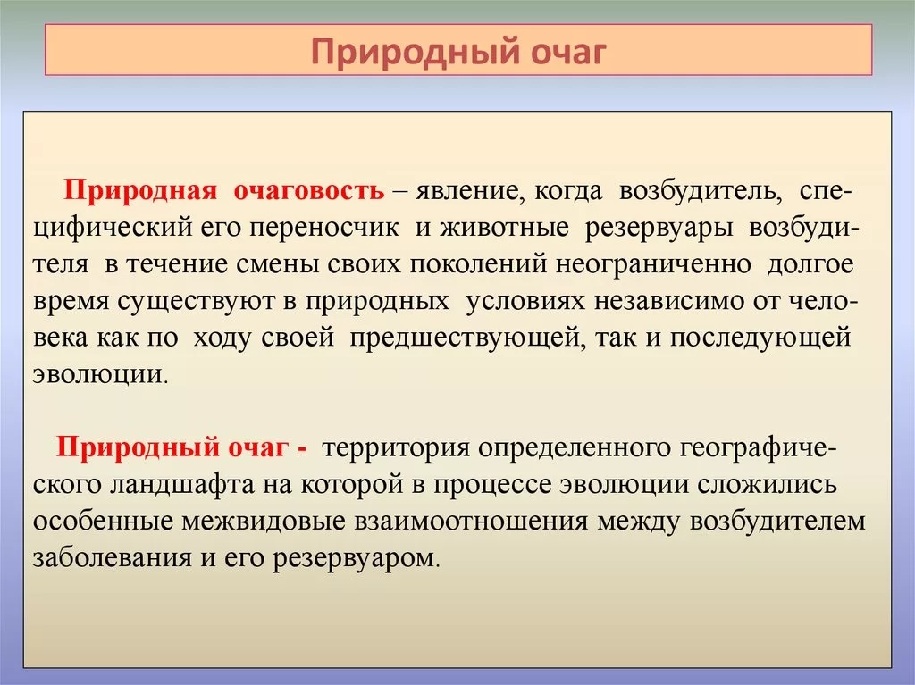 Природный очаг